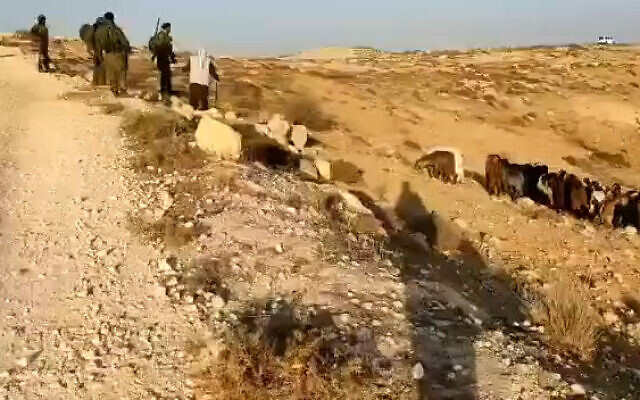 جنود يستجوبون راعياً فلسطينياً بالقرب من بؤرة "أفيجايل" الاستيطانية في جنوب الضفة الغربية، 28 أكتوبر 2022 (Screnshot: Twitter)
