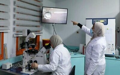 توضيحية: في هذه الصورة التي تم التقاطها في 27 يناير 2021، يعمل أطباء وفنيون فلسطينيون في مختبر أطفال الأنابيب في عيادة الخصوبة في مركز رزان في نابلس بالضفة الغربية.  (Jaafar Ashtiyeh/AFP)