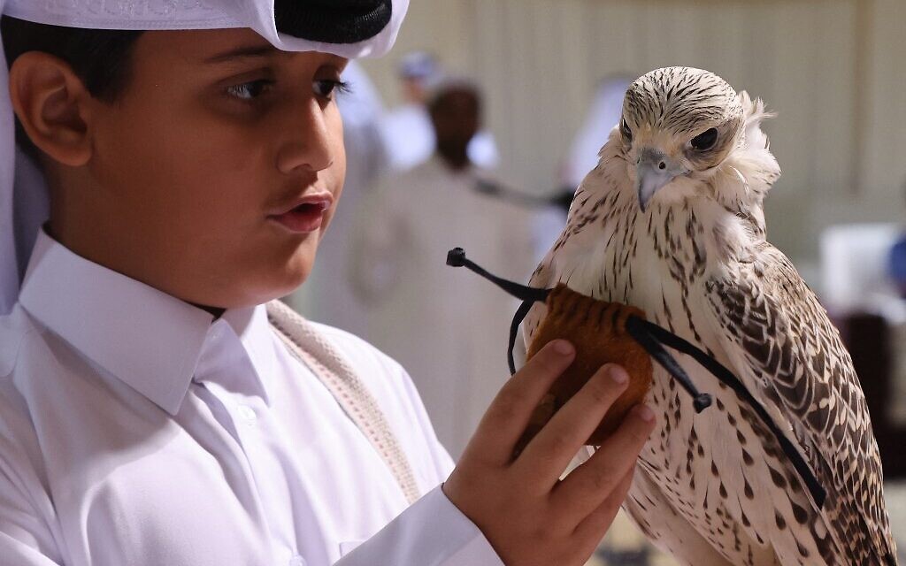 متسابق مع صقره خلال مسابقة "الصقارة" الصغار والواعدين، في رأس لفان، على بعد حوالي 80 كيلومترًا شمال الدوحة، 4 نوفمبر 2022 (KARIM JAAFAR / AFP)