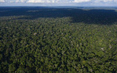 صورة توضيحية لغابات الأمازون في البرازيل، 22 نوفمبر 2019 (AP Photo/Leo Correa)
