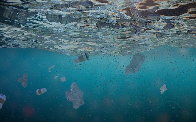 النفايات البلاستيكية في البحر (dottedhippo / iStock by Getty Images)