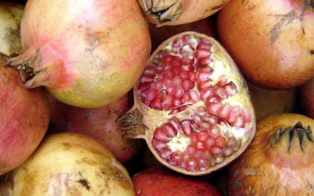 The pomegranate with its supposed 613 seeds serves as a reminder to multiply our merit.