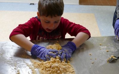A pasta-making workshop is a hands-on activity Sunday afternoon.