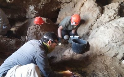 Hebrew University archaeologist Ahiad Ovadia digs in the cave.