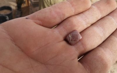 A seal made of semiprecious carnelian stone was found.