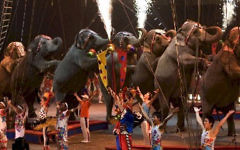 Dancing elephants at Ringling Bros. Barnum & Bailey Circus