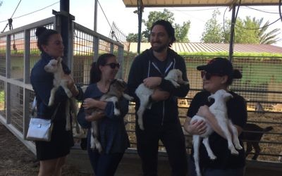 Mission participants (from left) Morgan Newman, Jon Cali Hersh, Jon Lanznar and Marla Levine get a feel for the livestock program at Kfar Silver.