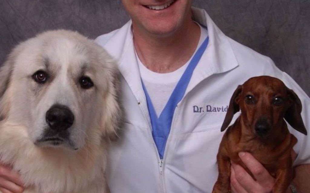 David Filer spends time with two of his pets, great Pyrenees Max and dachshund Lilly.
