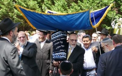 The new Beth Jacob Torah, dedicated in memory of Edward Kesten by the Schloss and Reznick families, parades along Breezy Lane beneath a chuppah.
