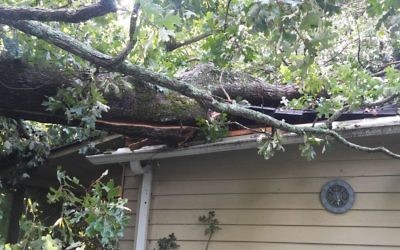Irma was just beginning to hit East Cobb hard when this tree toppled from a neighbor's yard onto the AJT editor's house Sept. 11.