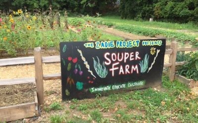 The 1-acre Souper Farm supplies produce for Zadie Project soups.