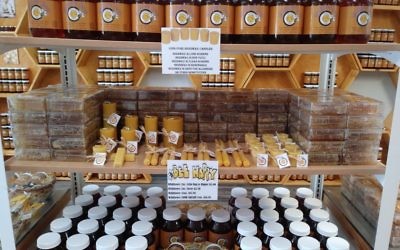 As Georgia Honey Farm and its competitors show, bees make much more than honey.