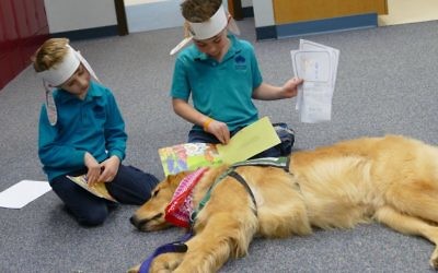 Worth, a Service Assistants dog who will turn 2 in March, couldn’t be much more relaxed while listening to stories read by kindergartners. Worth, who is training with Jane Martin, was one of at least four dogs getting experience with children and school situations at Davis on Feb. 5.