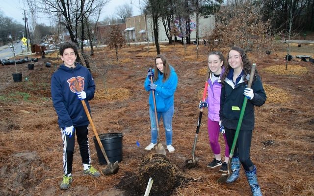 (From left) Ariel Simons, Eliza Frankel, Rosie Finglass and Tali Eplan Frankel work together to plant a tree.