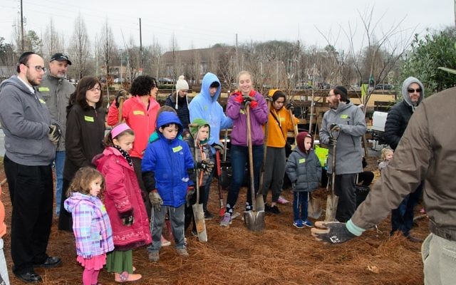 Volunteers of all ages gather for directions on how to plant trees so that they will thrive in Atlanta.
