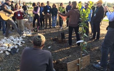 Members of the Federation mission to Israel plant a fruit tree on Tu B'Shevat.