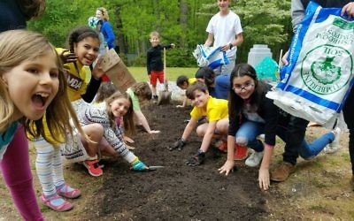 Pupils at Chabad of Forsyth’s JUDA Hebrew school participate in Planting Day to prepare a garden outside Congregation Beth Israel.