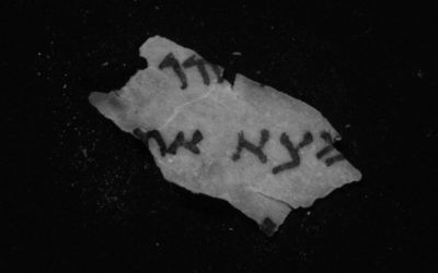 New infrared imaging reveals letters hidden on a Dead Sea Scrolls fragment from Qumran Cave 11. (Photo by Shai Halevi, Israel Antiquities Authority)