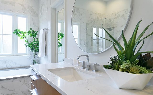 Modern finishes and fixtures serve as an elegant backdrop for the live plants in this bathroom.