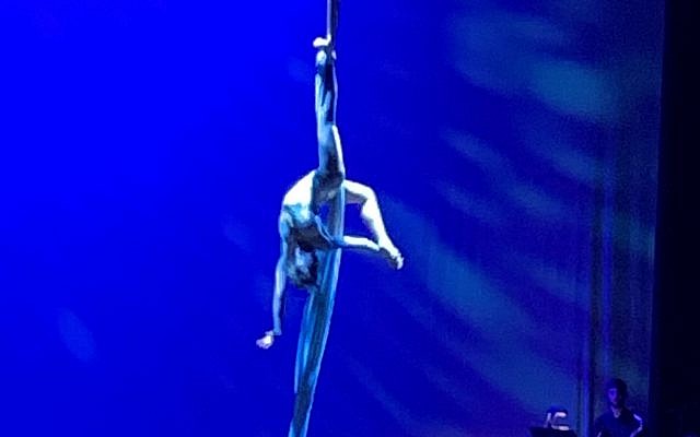 The overall talent winner was Morgan Rossi, an aerial silk artist and contortionist.