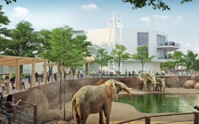 The new Savanna Hall special events building adjoins a new African Savanna animal habitat.
