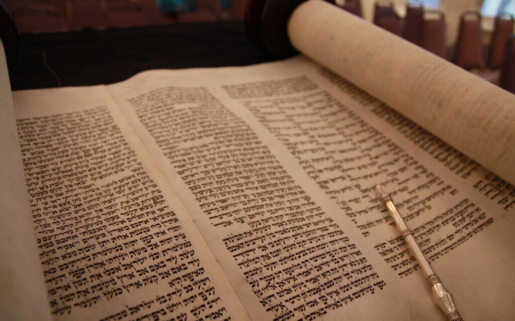 Torah פרשת השבוע