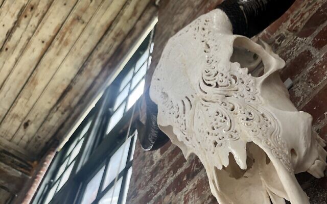 Hachworth’s loft has original brick walls and a skull that goes with his affinity for natural elements .