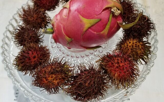 Photo by Flora Rosefsky // Rambutan and dragon fruit are exotic new fruits.