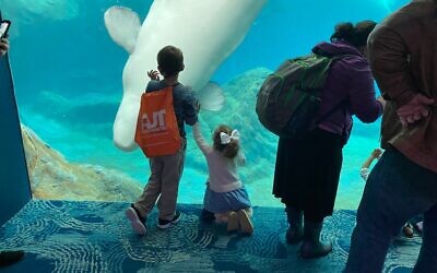 Children watch in awe of the whale exhibit at the Georgia Aquarium during the Atlanta Jewish Times’ annual Jewish Life Festival.