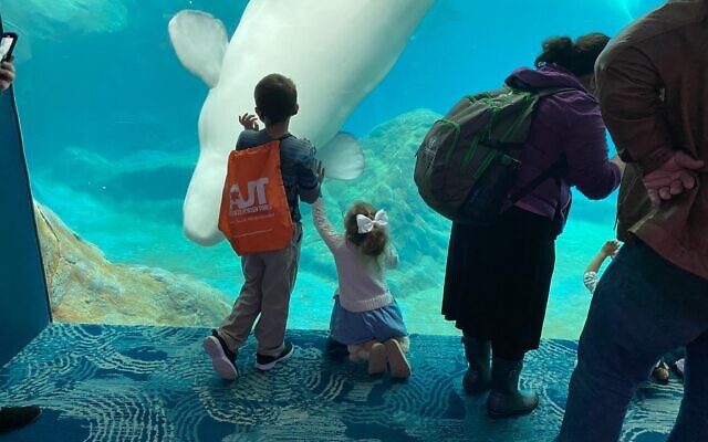 Children watch in awe of the whale exhibit at the Georgia Aquarium during the Atlanta Jewish Times’ annual Jewish Life Festival.