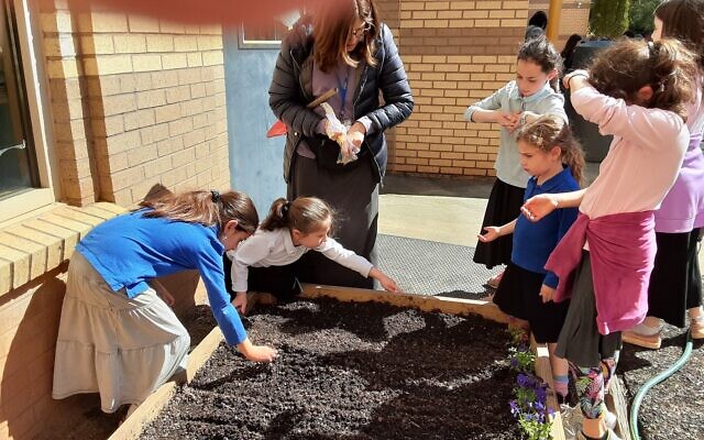 TDSA second grade girls plant peas and beans this year.