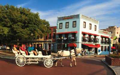 Wilmington has one of the country’s largest collections of historic neighborhoods.