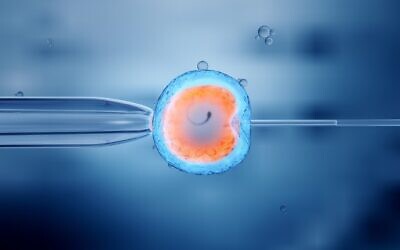 Illustrative. In vitro fertilization (IVF) of an egg cell. (iStock by Getty Images/ man_at_mouse)