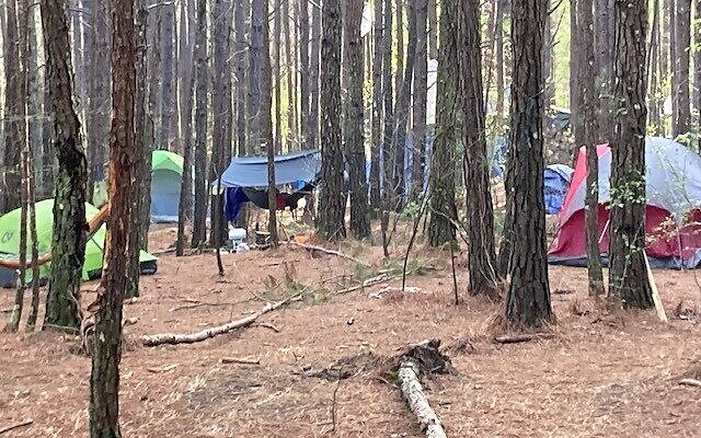 Tents erected in the woods during protests against the planned Atlanta police training facility.