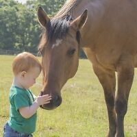 Candid photo of “Boy Meets Horse”
