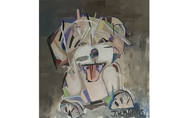Jaclynn’s dog, Teddy, A Double Doodle