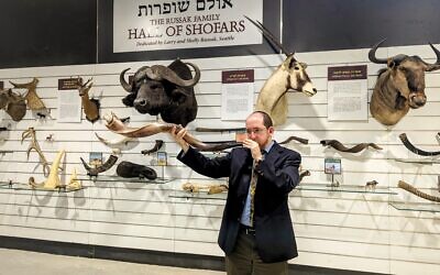 Rabbi Dr. Natan Slifkin - Museum’s director