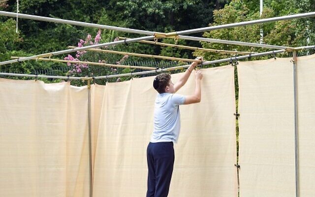 AJA students and faculty worked to hang the sukkah.
