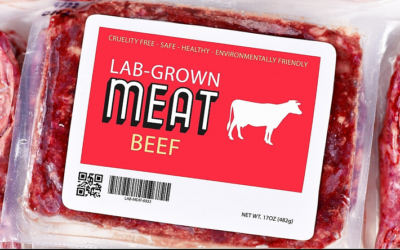 The world market for kosher lab meat is expected to grow to $100 billion in 2030.