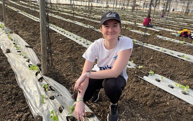 Kat Shambaugh picked strawberries, peppers, and cucumbers in her two weeks as a Birthright volunteer in Israel.