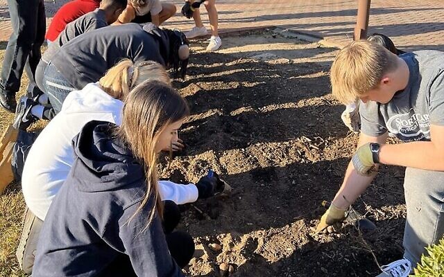 A group of students plant daffodils at Johns Creek High School