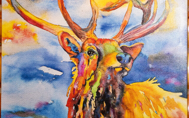 This moose watercolor was claimed at an auction, and resides in the lower level with Paula and Shannon. This moose watercolor was claimed at an auction, and resides in the lower level with Paula and Shannon.