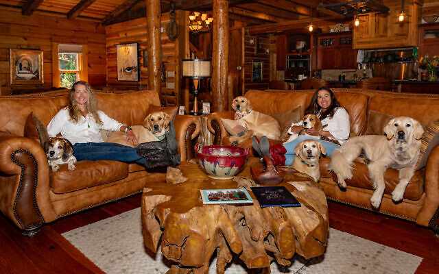 Paula and Shannon head to the forest each morning with eight dogs enjoying nature.
