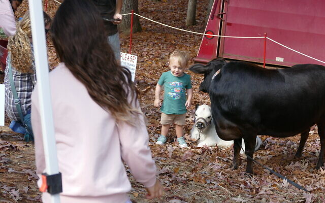 The petting zoo was a big hit with the little ones. The petting zoo was a big hit with the little ones.