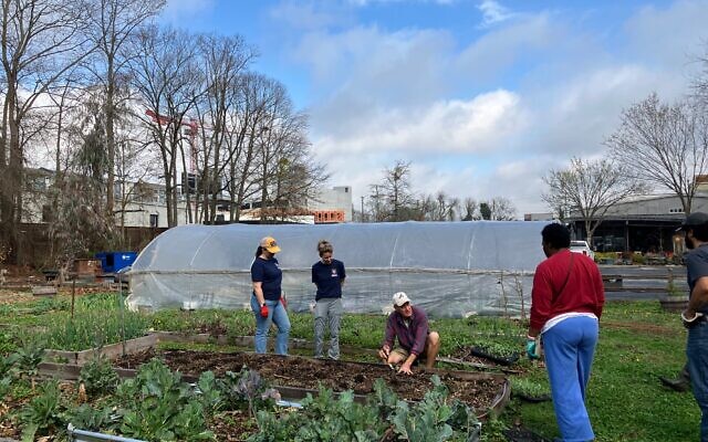 An important part of Jenny Levison’s Souper Jenny restaurants is the principle of giving back to the community.
