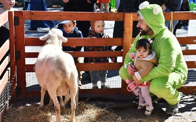 Who doesn’t love a good petting zoo? Who doesn’t love a good petting zoo?