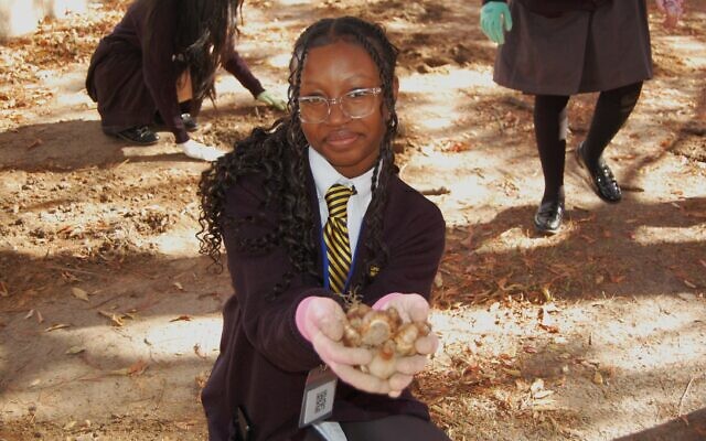 The student members of the Cristo Rey Garden Club worked side by side with Downtown Atlanta Inc.’s operations team this year to plant 10,000 bulbs. The student members of the Cristo Rey Garden Club worked side by side with Downtown Atlanta Inc.’s operations team this year to plant 10,000 bulbs.