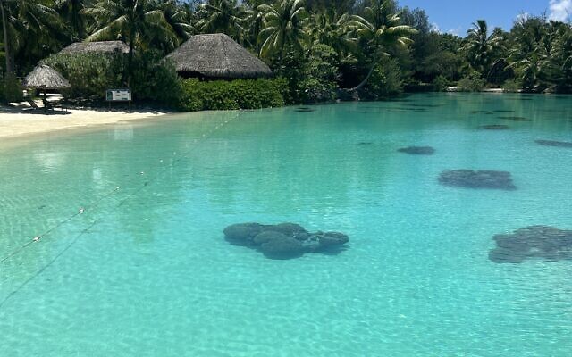 Snorkel in Bora Bora directly from your beachfront villa.