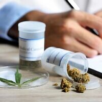 In the field of medical marijuana practices across Georgia, Medical Marijuana Therapeutics stands out for its commitment, guidance, knowledge, qualification, and support.