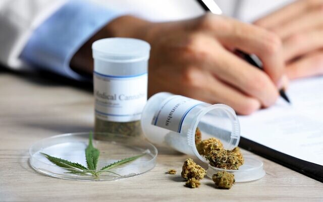In the field of medical marijuana practices across Georgia, Medical Marijuana Therapeutics stands out for its commitment, guidance, knowledge, qualification, and support.